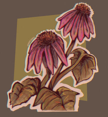 Feb 2026, misc design, $30